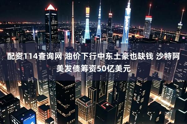 配资114查询网 油价下行中东土豪也缺钱 沙特阿美发债筹资50亿美元
